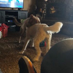 Meet your Posher, Connor